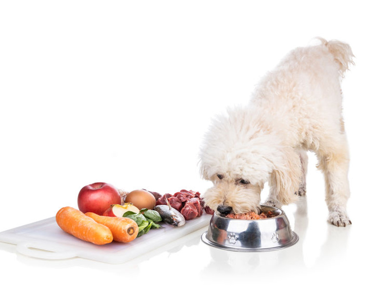 饲料和宠物食品新鲜度检测
